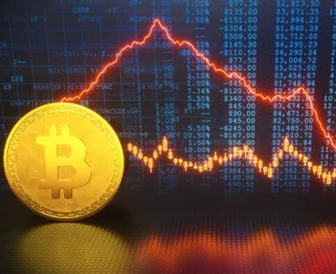 Exotradex - Enhance Your Trading Skills with Exotradex